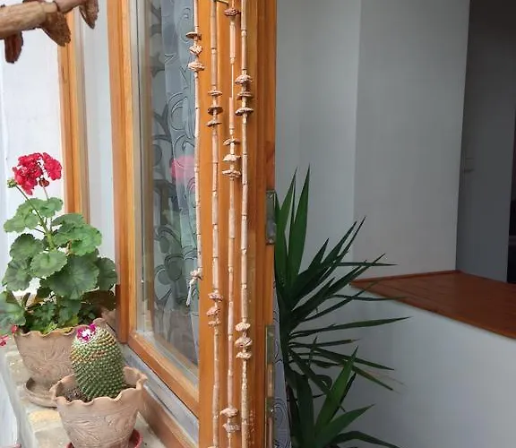 Appartement Petra Velem